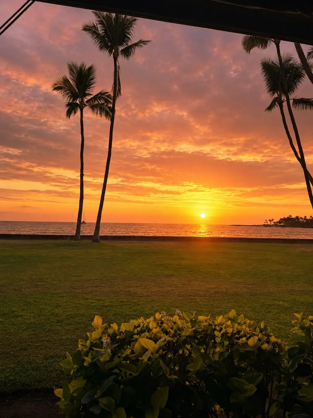 Sunset over Kailua Bay from the lawn at Kona Inn Restaurant, palms silhouetted against an orange sky with a sailboat on the water